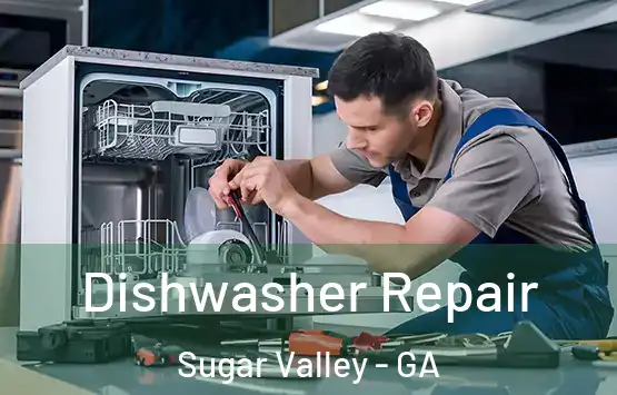  Dishwasher Repair Sugar Valley - GA