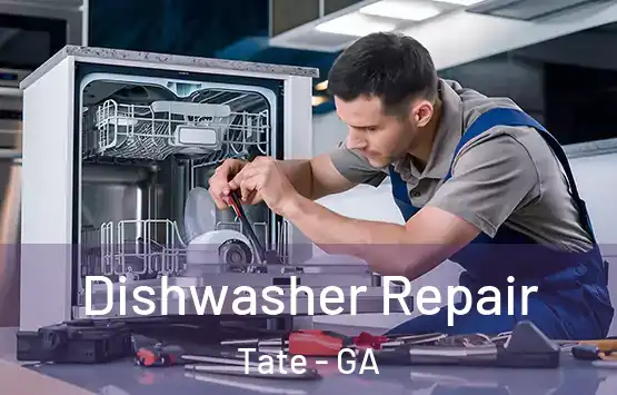  Dishwasher Repair Tate - GA