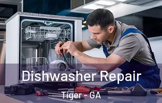  Dishwasher Repair Tiger - GA