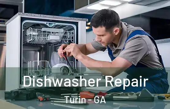  Dishwasher Repair Turin - GA
