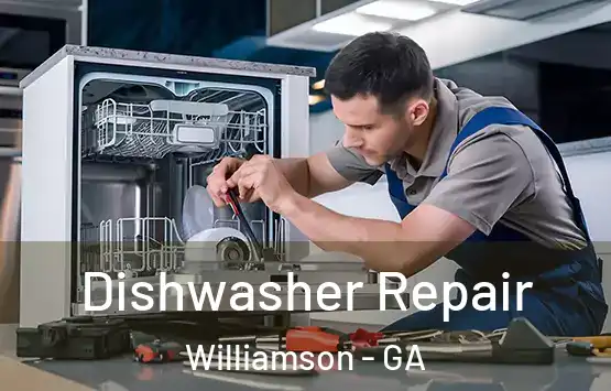  Dishwasher Repair Williamson - GA