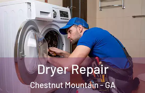  Dryer Repair Chestnut Mountain - GA