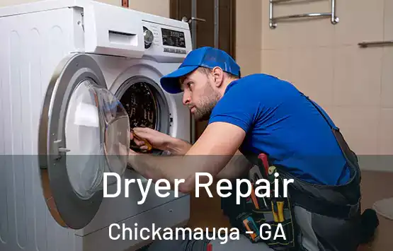  Dryer Repair Chickamauga - GA