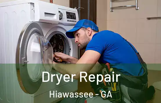  Dryer Repair Hiawassee - GA