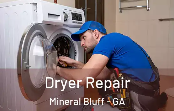  Dryer Repair Mineral Bluff - GA