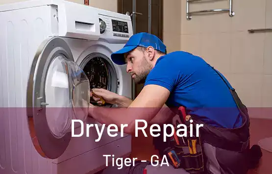  Dryer Repair Tiger - GA