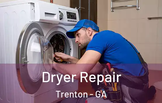  Dryer Repair Trenton - GA