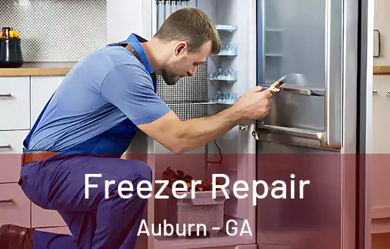  Freezer Repair Auburn - GA