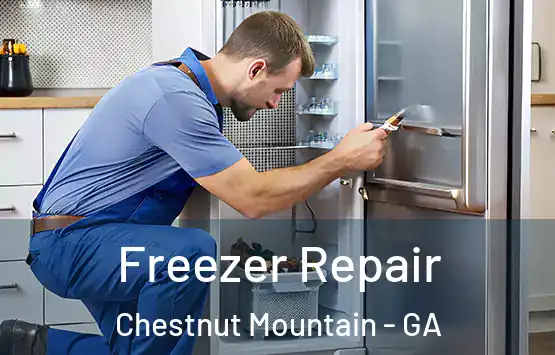  Freezer Repair Chestnut Mountain - GA