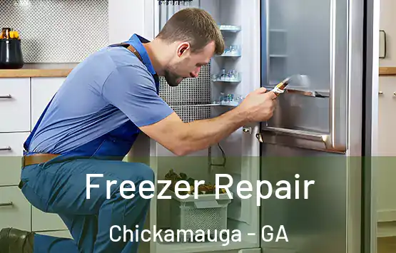  Freezer Repair Chickamauga - GA