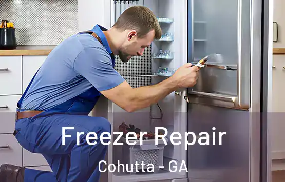  Freezer Repair Cohutta - GA