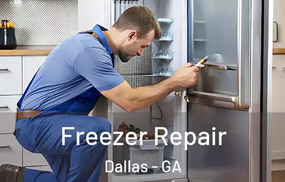  Freezer Repair Dallas - GA