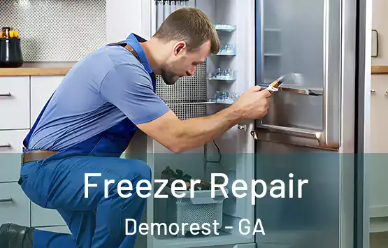  Freezer Repair Demorest - GA