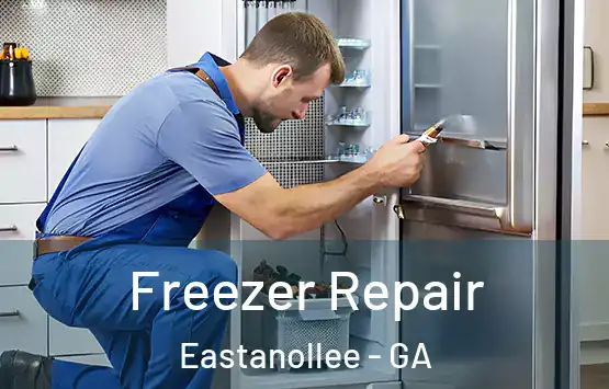  Freezer Repair Eastanollee - GA