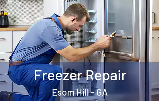  Freezer Repair Esom Hill - GA
