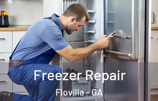  Freezer Repair Flovilla - GA