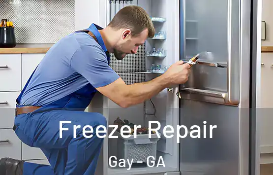  Freezer Repair Gay - GA