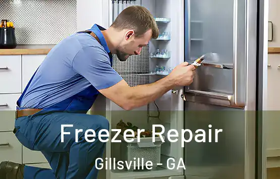  Freezer Repair Gillsville - GA