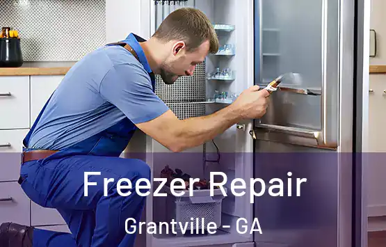  Freezer Repair Grantville - GA