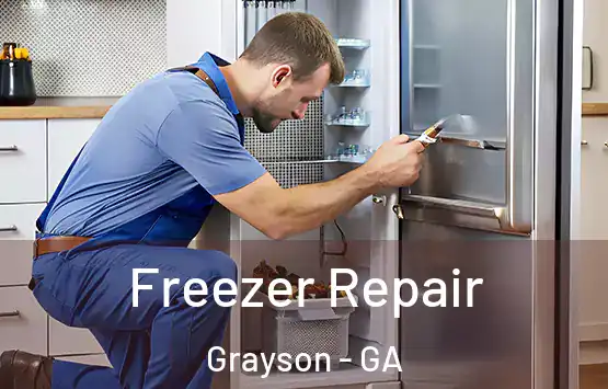  Freezer Repair Grayson - GA