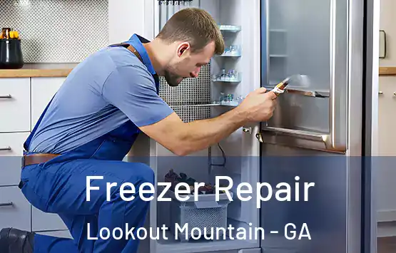  Freezer Repair Lookout Mountain - GA