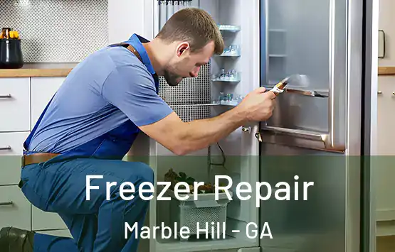  Freezer Repair Marble Hill - GA