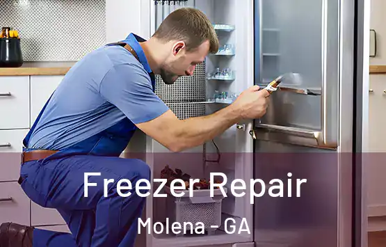  Freezer Repair Molena - GA