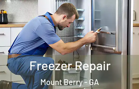  Freezer Repair Mount Berry - GA