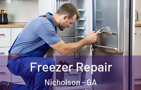  Freezer Repair Nicholson - GA