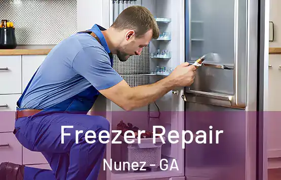  Freezer Repair Nunez - GA