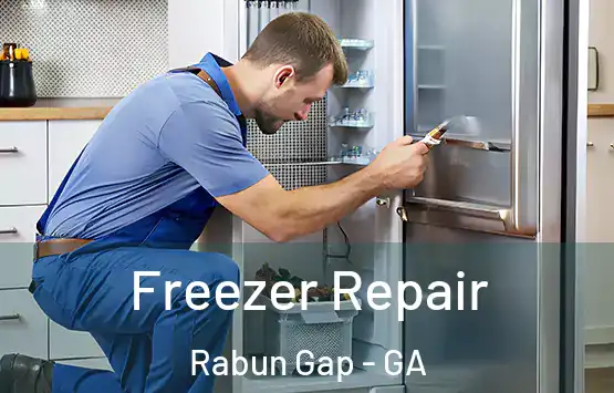  Freezer Repair Rabun Gap - GA