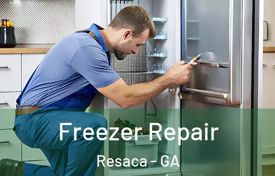  Freezer Repair Resaca - GA