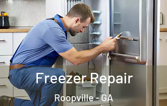  Freezer Repair Roopville - GA