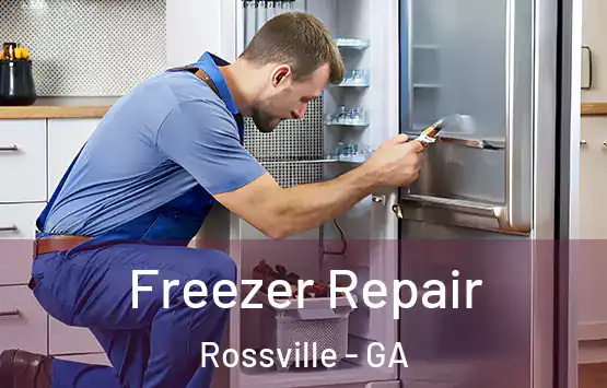 Freezer Repair Rossville - GA