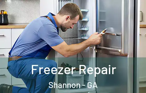  Freezer Repair Shannon - GA