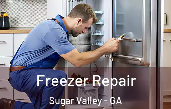  Freezer Repair Sugar Valley - GA