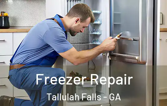  Freezer Repair Tallulah Falls - GA