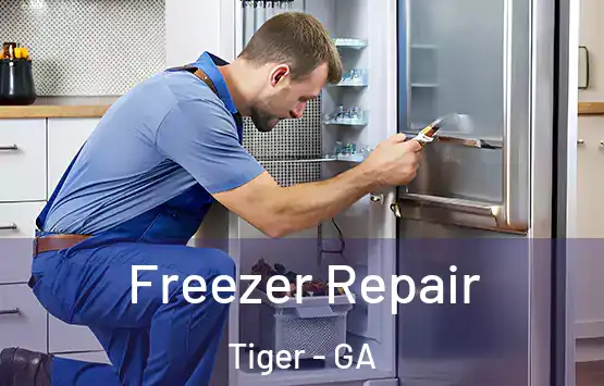  Freezer Repair Tiger - GA