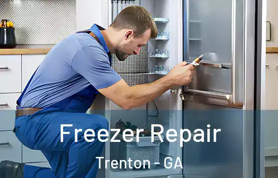  Freezer Repair Trenton - GA