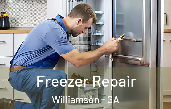  Freezer Repair Williamson - GA