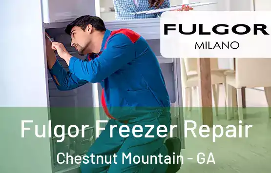  Fulgor Freezer Repair Chestnut Mountain - GA