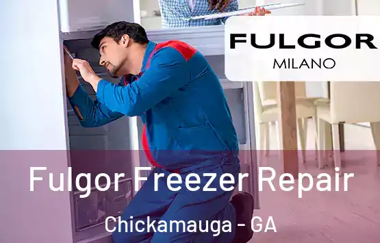  Fulgor Freezer Repair Chickamauga - GA