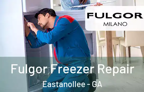  Fulgor Freezer Repair Eastanollee - GA