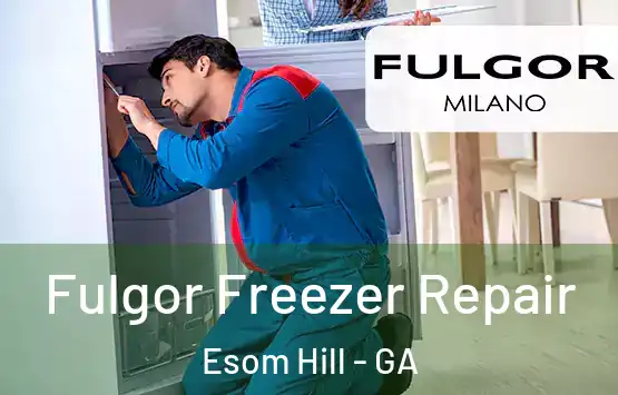 Fulgor Freezer Repair Esom Hill - GA