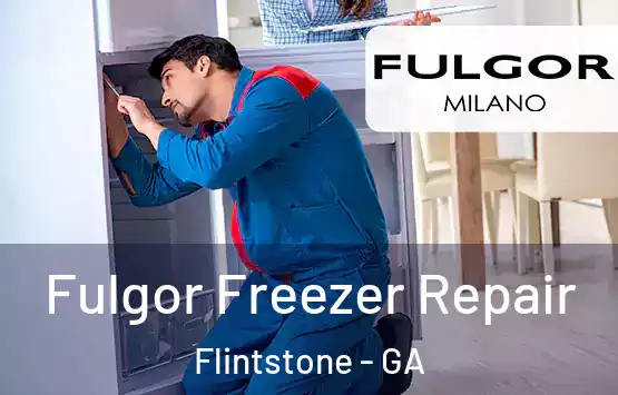  Fulgor Freezer Repair Flintstone - GA