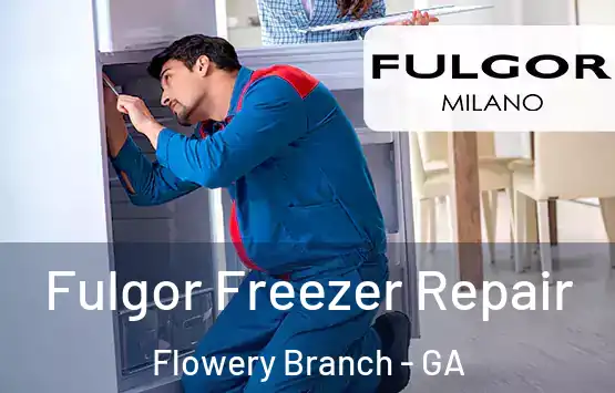  Fulgor Freezer Repair Flowery Branch - GA