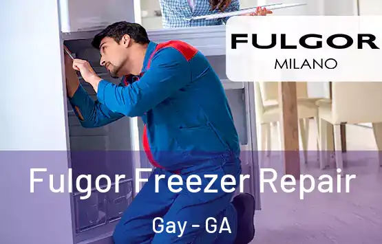  Fulgor Freezer Repair Gay - GA