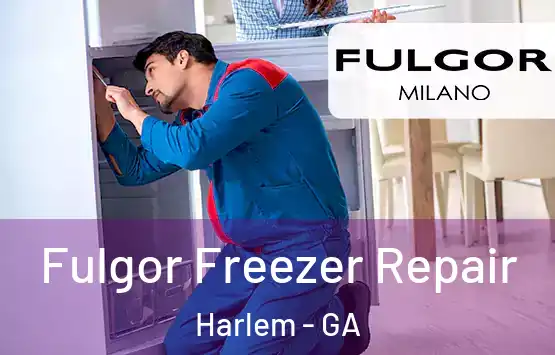  Fulgor Freezer Repair Harlem - GA