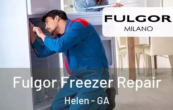  Fulgor Freezer Repair Helen - GA