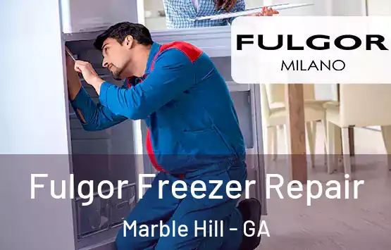 Fulgor Freezer Repair Marble Hill - GA